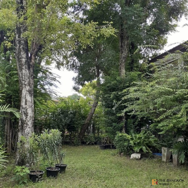 Sammakorn Ramkamhang 112, Bangkok, Saphan Sung, Saphan Sung, Bangkok, 4 Bedrooms, 250 sqm, Villa For Rent, by Nicha Peerakittikul, 500210631 - DDproperty.com