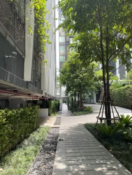 The Edge Sukhumvit 23 : เอดจ์ สุขุมวิท 23, กรุงเทพ, 6 ซอยสุขุมวิท 23, คลองเตยเหนือ, วัฒนา, กรุงเทพ, 34 ตร.ม., คอนโด ให้เช่า, โดย Achaya Nithipanyawong, 500210669 - DDproperty.com