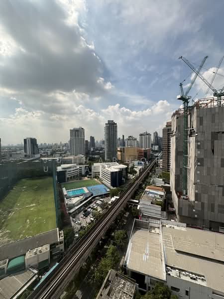 Life Sukhumvit 48 : ไลฟ์ สุขุมวิท 48, กรุงเทพ, ซอยสุขุมวิท 48, พระโขนง, คลองเตย, กรุงเทพ, 60 ตร.ม., คอนโด ให้เช่า, โดย Juthabhorn Uppachit (Amy), 500210680 - DDproperty.com