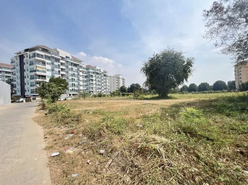 ใจกลางเมืองพัทยา ตำบลหนองปรือ อำเภอบางละมุง จังหวัดชลบุรี, ชลบุรี, ถนนทัพพระยา - เขาพระตำหนัก, หนองปรือ, บางละมุง, ชลบุรี, 4,132 ตร.ม., ที่ดิน ขาย, โดย ณิชาภา (คุณดาว) เพียจันทร์, 500210854 - DDproperty.com