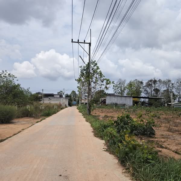 ใกล้อ่างเก็บน้ำมาบประชัน - โป่ง ตำบลโป่ง อำเภอบางละมุง จังหวัดชลบุรี, ชลบุรี, ถนนซอยมาบประชัน - นาเหมือง, โป่ง, บางละมุง, ชลบุรี, 1,600 ตร.ม., ที่ดิน ขาย, โดย ณิชาภา (คุณดาว) เพียจันทร์, 500210862 - DDproperty.com