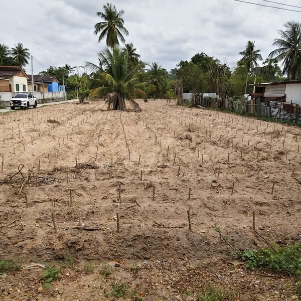 ติดสนามกอล์ฟสยามคันทรีคลับ ตำบลหนองปรือ อำเภอบางละมุง จังหวัดชลบุรี, ชลบุรี, หนองปรือ, บางละมุง, ชลบุรี, 2,556 ตร.ม., ที่ดิน ขาย, โดย ณิชาภา (คุณดาว) เพียจันทร์, 500210870 - DDproperty.com