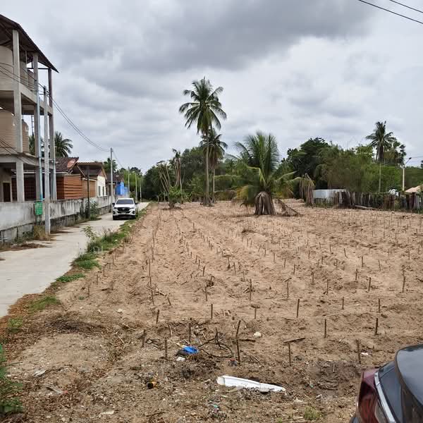 ติดสนามกอล์ฟสยามคันทรีคลับ ตำบลหนองปรือ อำเภอบางละมุง จังหวัดชลบุรี, ชลบุรี, หนองปรือ, บางละมุง, ชลบุรี, 2,556 ตร.ม., ที่ดิน ขาย, โดย ณิชาภา (คุณดาว) เพียจันทร์, 500210870 - DDproperty.com