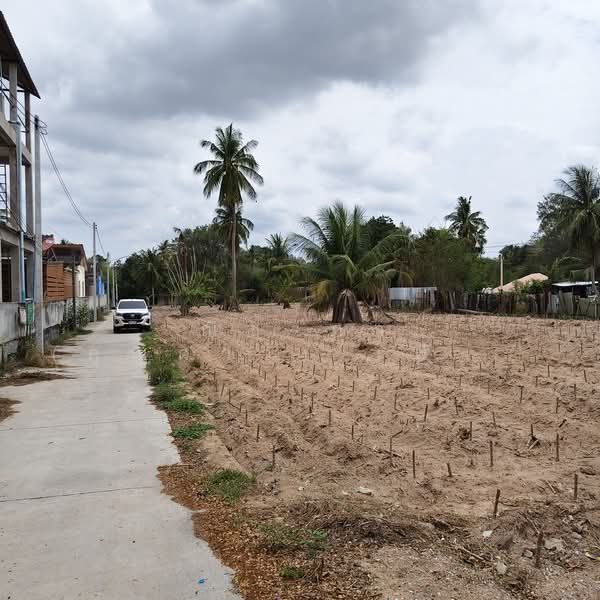 ติดสนามกอล์ฟสยามคันทรีคลับ ตำบลหนองปรือ อำเภอบางละมุง จังหวัดชลบุรี, Chon Buri (Pattaya), Nong Pru, Bang Lamung (Pattaya), Chon Buri (Pattaya), , 2,556 sqm, Land For Sale, by Nichapa Phiachan, 500210870 - DDproperty.com