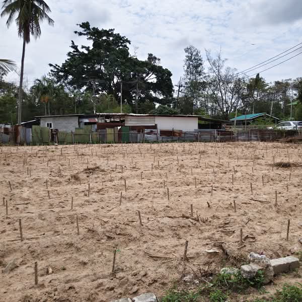 ติดสนามกอล์ฟสยามคันทรีคลับ ตำบลหนองปรือ อำเภอบางละมุง จังหวัดชลบุรี, ชลบุรี, หนองปรือ, บางละมุง, ชลบุรี, 2,556 ตร.ม., ที่ดิน ขาย, โดย ณิชาภา (คุณดาว) เพียจันทร์, 500210870 - DDproperty.com