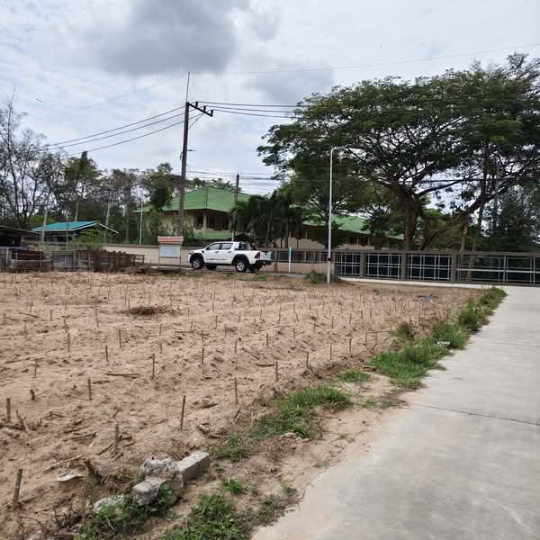 ติดสนามกอล์ฟสยามคันทรีคลับ ตำบลหนองปรือ อำเภอบางละมุง จังหวัดชลบุรี, ชลบุรี, หนองปรือ, บางละมุง, ชลบุรี, 2,556 ตร.ม., ที่ดิน ขาย, โดย ณิชาภา (คุณดาว) เพียจันทร์, 500210870 - DDproperty.com