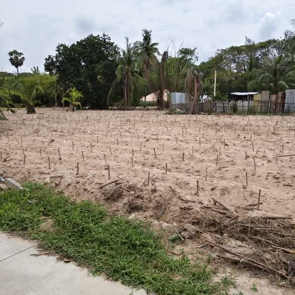 ติดสนามกอล์ฟสยามคันทรีคลับ ตำบลหนองปรือ อำเภอบางละมุง จังหวัดชลบุรี, Chon Buri (Pattaya), Nong Pru, Bang Lamung (Pattaya), Chon Buri (Pattaya), , 2,556 sqm, Land For Sale, by Nichapa Phiachan, 500210870 - DDproperty.com