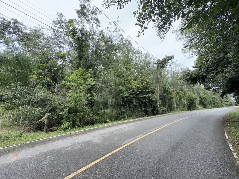 For Sale - ที่ดิน ขาเข้า เส้นสนามบินหาดใหญ่, Songkhla