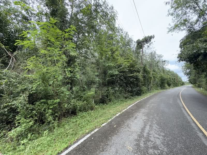 For Sale - ที่ดิน ขาเข้า เส้นสนามบินหาดใหญ่, Songkhla