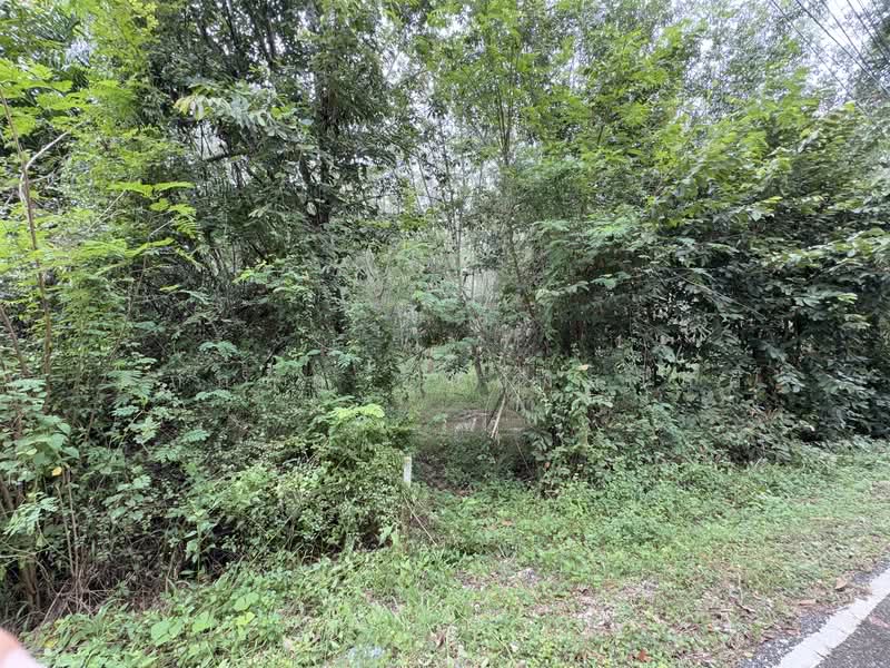 For Sale - ที่ดิน ขาเข้า เส้นสนามบินหาดใหญ่, Songkhla