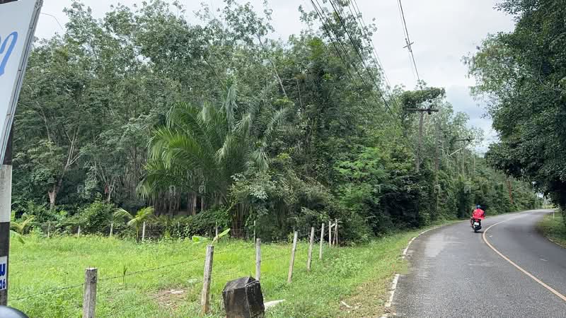 For Sale - ที่ดิน ขาเข้า เส้นสนามบินหาดใหญ่, Songkhla