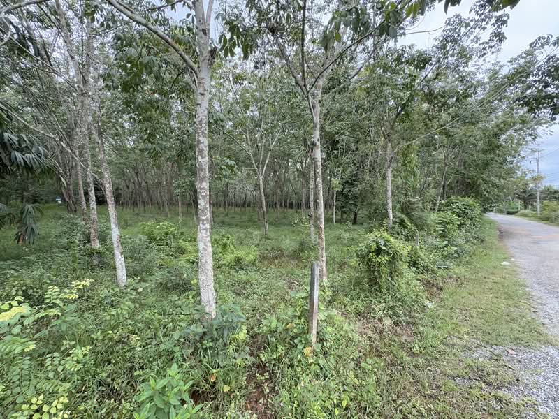 For Sale - ที่ดิน ขาเข้า เส้นสนามบินหาดใหญ่, Songkhla