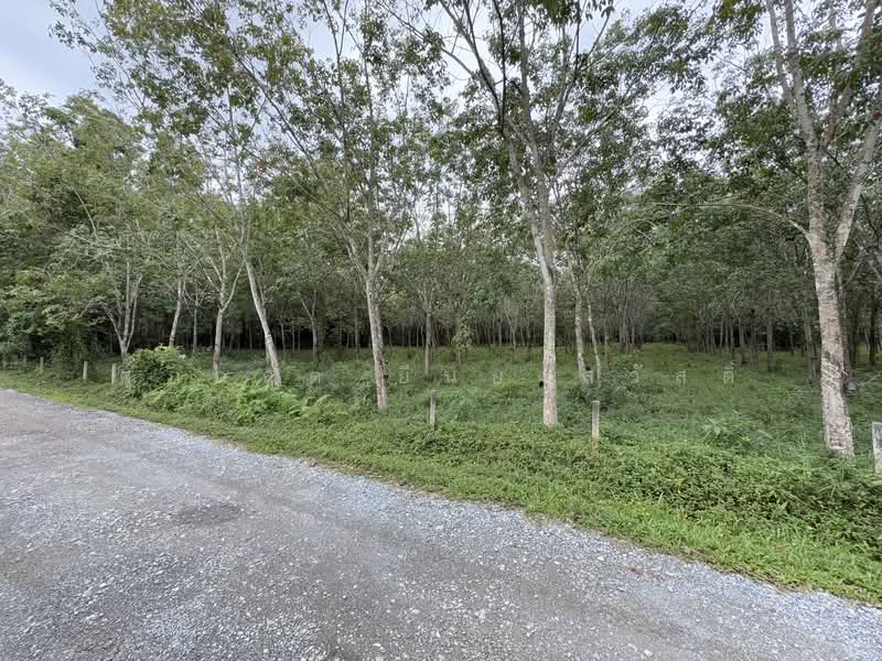 For Sale - ที่ดิน ขาเข้า เส้นสนามบินหาดใหญ่, Songkhla