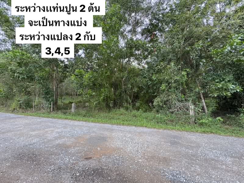 ที่ดิน ขาเข้า เส้นสนามบินหาดใหญ่, สงขลา, ควนลัง, หาดใหญ่, สงขลา, 118,400 ตร.ม., ที่ดิน ขาย, โดย ศุภกฤต ยืนยงสวัสดิ์, 500210871 - DDproperty.com