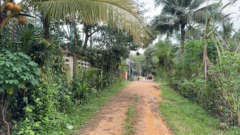 For Sale - ที่ดิน ขาเข้า เส้นสนามบินหาดใหญ่, Songkhla