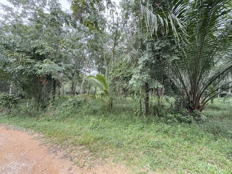 For Sale - ที่ดิน ขาเข้า เส้นสนามบินหาดใหญ่, Songkhla