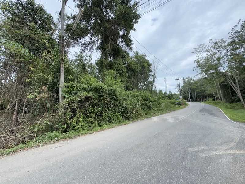 For Sale - ที่ดิน ขาเข้า เส้นสนามบินหาดใหญ่, Songkhla