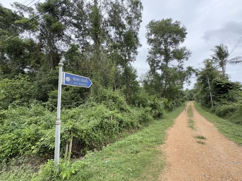 ที่ดิน ขาเข้า เส้นสนามบินหาดใหญ่, สงขลา, ควนลัง, หาดใหญ่, สงขลา, 118,400 ตร.ม., ที่ดิน ขาย, โดย ศุภกฤต ยืนยงสวัสดิ์, 500210871 - DDproperty.com