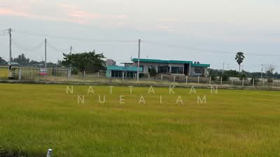 ขาย - ขายที่ดิน 3 ไร่, สุพรรณบุรี