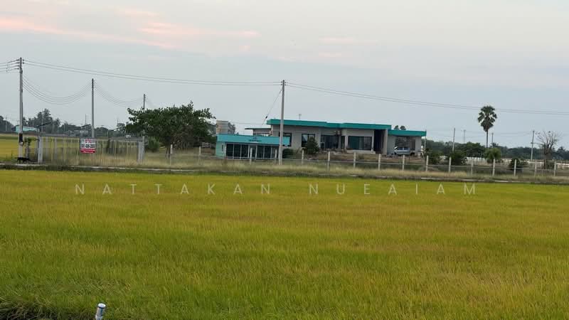 For Sale - ขายที่ดิน 3 ไร่, Suphan Buri