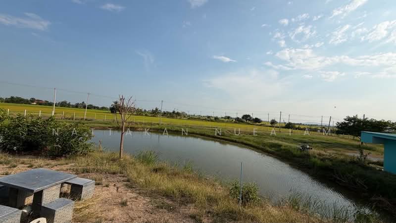 For Sale - ขายที่ดิน 3 ไร่, Suphan Buri