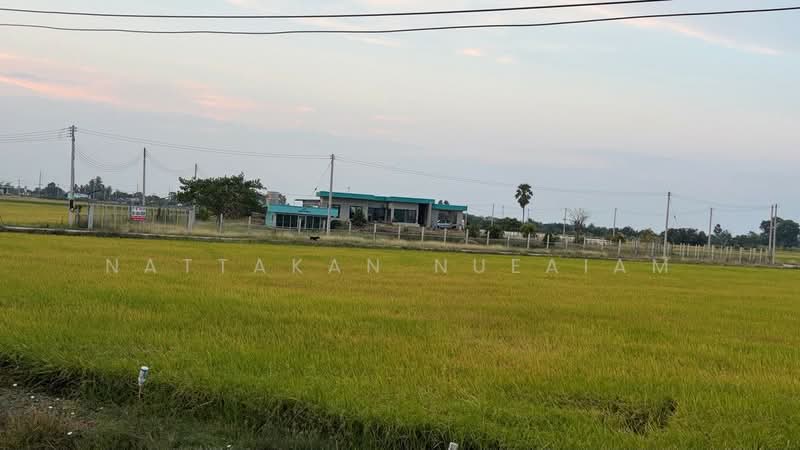 For Sale - ขายที่ดิน 3 ไร่, Suphan Buri