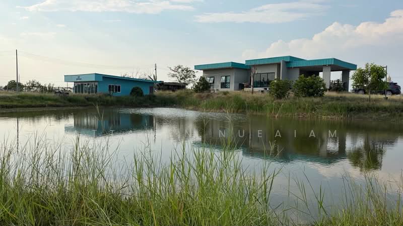 For Sale - ขายที่ดิน 3 ไร่, Suphan Buri