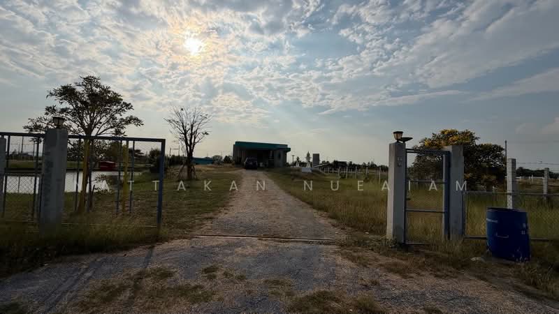 ขายที่ดิน 3 ไร่, สุพรรณบุรี, ดอนคา, อู่ทอง, สุพรรณบุรี, 4,800 ตร.ม., ที่ดิน ขาย, โดย Nattakan nueaiam, 500210885 - DDproperty.com