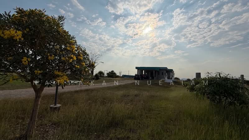 For Sale - ขายที่ดิน 3 ไร่, Suphan Buri