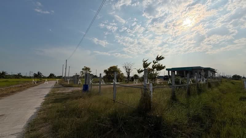 ขายที่ดิน 3 ไร่, สุพรรณบุรี, ดอนคา, อู่ทอง, สุพรรณบุรี, 4,800 ตร.ม., ที่ดิน ขาย, โดย Nattakan nueaiam, 500210885 - DDproperty.com