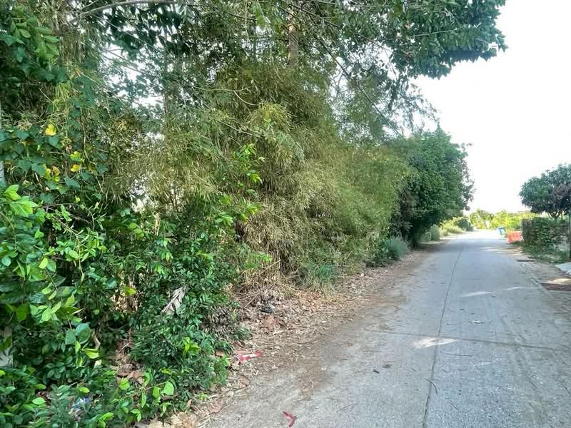 ใกล้มอเตอร์เวย์ - ห้วยใหญ่ ตำบลห้วยใหญ่ อำเภอบางละมุง จังหวัดชลบุรี, ชลบุรี, ถนนทุ่งละหาร, ห้วยใหญ่, บางละมุง, ชลบุรี, 3,396 ตร.ม., ที่ดิน ขาย, โดย ณิชาภา (คุณดาว) เพียจันทร์, 500210916 - DDproperty.com