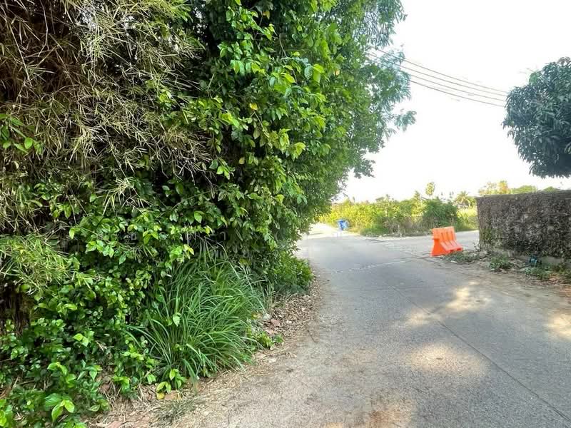 ใกล้มอเตอร์เวย์ - ห้วยใหญ่ ตำบลห้วยใหญ่ อำเภอบางละมุง จังหวัดชลบุรี, ชลบุรี, ถนนทุ่งละหาร, ห้วยใหญ่, บางละมุง, ชลบุรี, 3,396 ตร.ม., ที่ดิน ขาย, โดย ณิชาภา (คุณดาว) เพียจันทร์, 500210916 - DDproperty.com