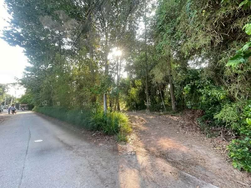 ใกล้มอเตอร์เวย์ - ห้วยใหญ่ ตำบลห้วยใหญ่ อำเภอบางละมุง จังหวัดชลบุรี, ชลบุรี, ถนนทุ่งละหาร, ห้วยใหญ่, บางละมุง, ชลบุรี, 3,396 ตร.ม., ที่ดิน ขาย, โดย ณิชาภา (คุณดาว) เพียจันทร์, 500210916 - DDproperty.com