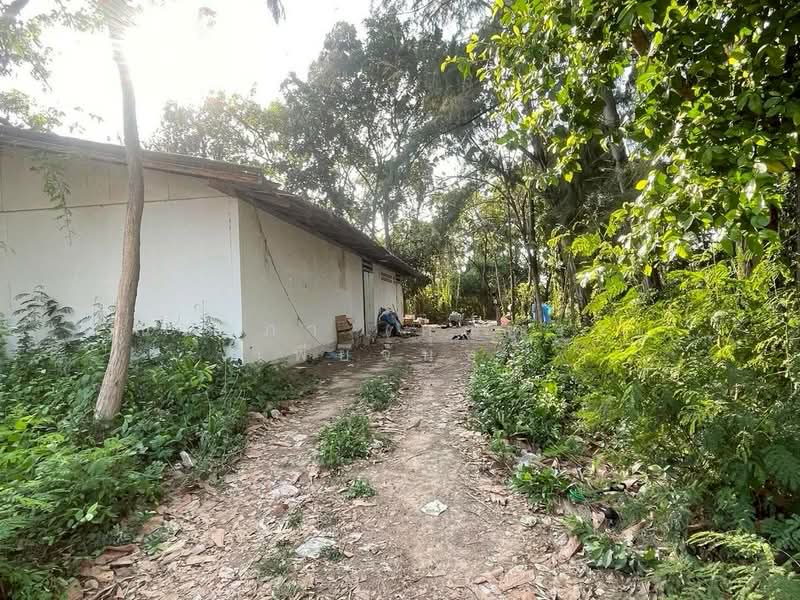 ใกล้มอเตอร์เวย์ - ห้วยใหญ่ ตำบลห้วยใหญ่ อำเภอบางละมุง จังหวัดชลบุรี, ชลบุรี, ถนนทุ่งละหาร, ห้วยใหญ่, บางละมุง, ชลบุรี, 3,396 ตร.ม., ที่ดิน ขาย, โดย ณิชาภา (คุณดาว) เพียจันทร์, 500210916 - DDproperty.com