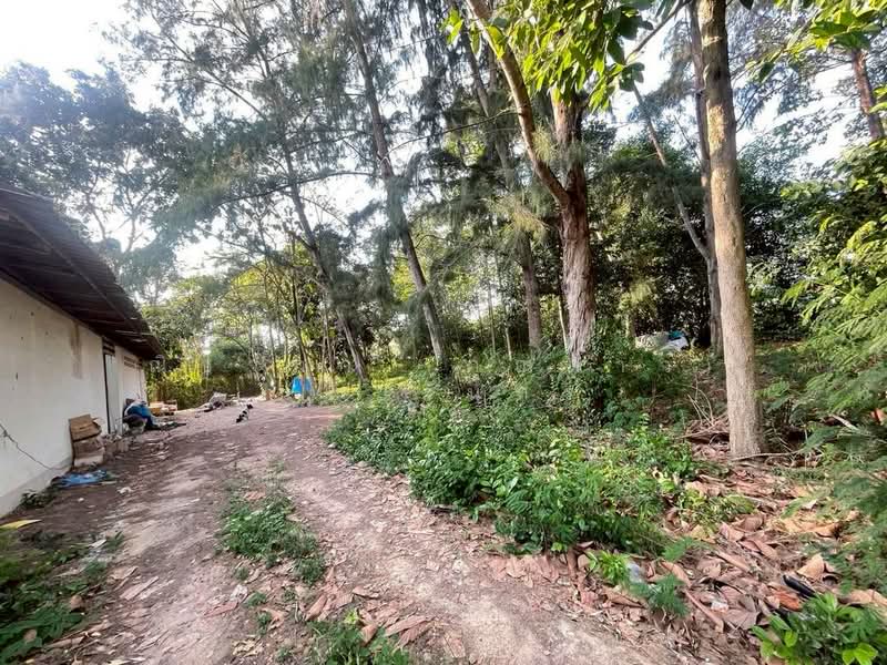 ใกล้มอเตอร์เวย์ - ห้วยใหญ่ ตำบลห้วยใหญ่ อำเภอบางละมุง จังหวัดชลบุรี, Chon Buri (Pattaya), ถนนทุ่งละหาร, Huai Yai, Bang Lamung (Pattaya), Chon Buri (Pattaya), , 3,396 sqm, Land For Sale, by Nichapa Phiachan, 500210916 - DDproperty.com