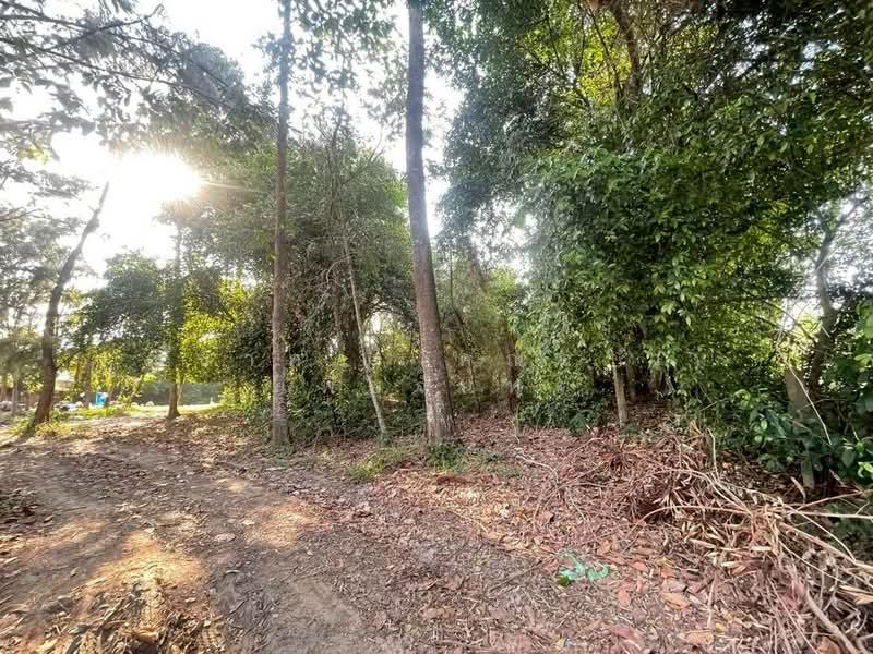 ใกล้มอเตอร์เวย์ - ห้วยใหญ่ ตำบลห้วยใหญ่ อำเภอบางละมุง จังหวัดชลบุรี, Chon Buri (Pattaya), ถนนทุ่งละหาร, Huai Yai, Bang Lamung (Pattaya), Chon Buri (Pattaya), , 3,396 sqm, Land For Sale, by Nichapa Phiachan, 500210916 - DDproperty.com