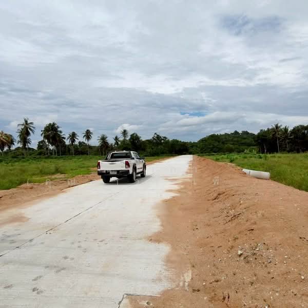 ซอยพรประภานิมิตร - ซอยสยามคันทรีคลับ ตำบลหนองปรือ อำเภอบางละมุง จังหวัดชลบุรี, ชลบุรี, ซอยพรประภานิมิตร - ซอยสยามคันทรีคลับ, หนองปรือ, บางละมุง, ชลบุรี, 1,544 ตร.ม., ที่ดิน ขาย, โดย ณิชาภา (คุณดาว) เพียจันทร์, 500211011 - DDproperty.com