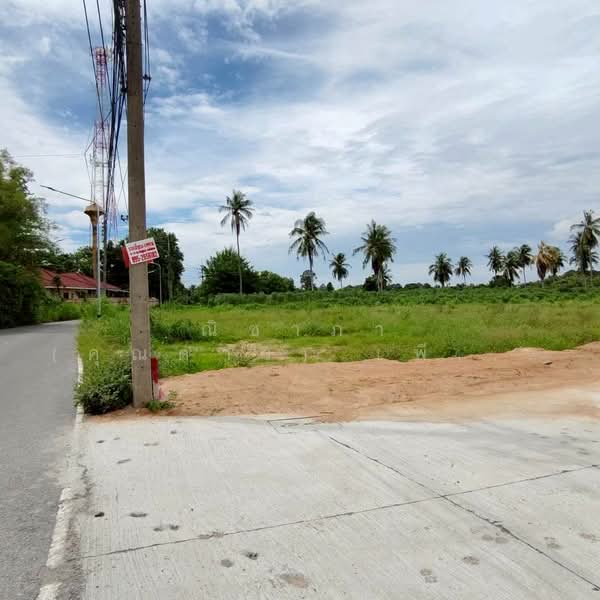 ซอยพรประภานิมิตร - ซอยสยามคันทรีคลับ ตำบลหนองปรือ อำเภอบางละมุง จังหวัดชลบุรี, Chon Buri (Pattaya), ซอยพรประภานิมิตร - ซอยสยามคันทรีคลับ, Nong Pru, Bang Lamung (Pattaya), Chon Buri (Pattaya), , 1,544 sqm, Land For Sale, by Nichapa Phiachan, 500211011 - DDproperty.com