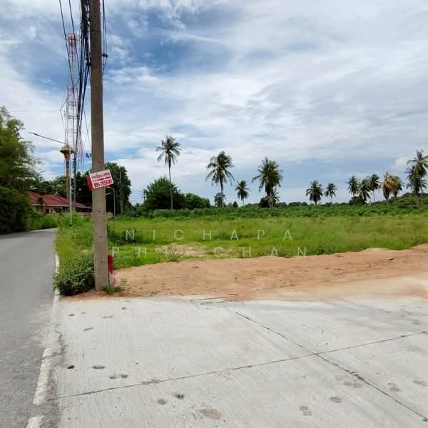 ซอยสยามคันทรีคลับ ตำบลหนองปรือ อำเภอบางละมุง จังหวัดชลบุรี, ชลบุรี, ซอยสยามคันทรีคลับ - ซอยพรประภานิมิตร, หนองปรือ, บางละมุง, ชลบุรี, 920 ตร.ม., ที่ดิน ขาย, โดย ณิชาภา (คุณดาว) เพียจันทร์, 500211013 - DDproperty.com