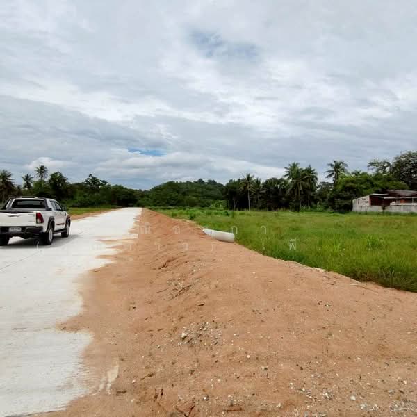 ซอยสยามคันทรีคลับ ตำบลหนองปรือ อำเภอบางละมุง จังหวัดชลบุรี, Chon Buri (Pattaya), ซอยสยามคันทรีคลับ - ซอยพรประภานิมิตร, Nong Pru, Bang Lamung (Pattaya), Chon Buri (Pattaya), , 920 sqm, Land For Sale, by Nichapa Phiachan, 500211013 - DDproperty.com