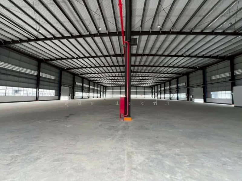 ขายโรงงาน ผังสีม่วง 13 ไร่กว่า พร้อมใช้งาน เขตนิคมหนองใหญ่ ชลบุรี, Chon Buri (Pattaya), Nong Yai, Nong Yai, Chon Buri (Pattaya), , 14,843 sqm, Warehouse/Factory For Sale, by Dusit Saengfa, 500211065 - DDproperty.com