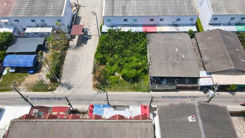 ที่ดิน60ตร.วา เพชรเกษม79, Bangkok, เพชรเกษม, Nong Kham, Nong Khaem, Bangkok, , 240 sqm, Land For Sale, by Line@GantProperty, 500211080 - DDproperty.com