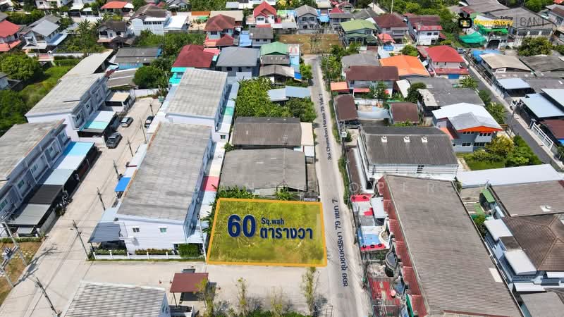 ที่ดิน60ตร.วา เพชรเกษม79, Bangkok, เพชรเกษม, Nong Kham, Nong Khaem, Bangkok, , 240 sqm, Land For Sale, by Line@GantProperty, 500211080 - DDproperty.com
