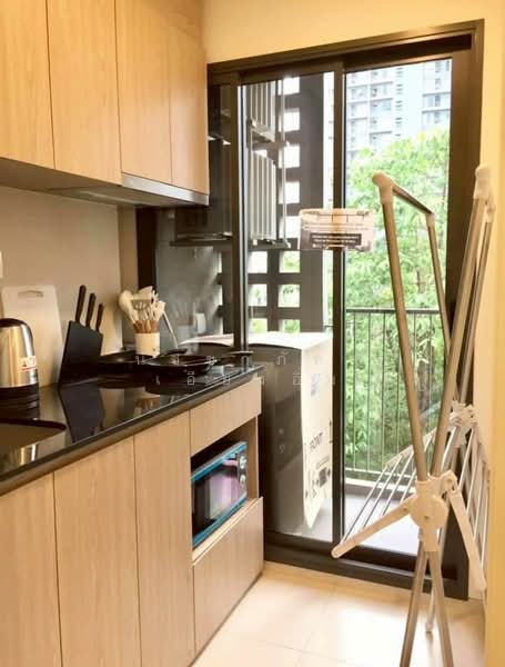 Chambers On-Nut Station, Bangkok, Soi Sukhumvit 81, Sukhumvit Road, Phra Kanong Nua, Watthana, Bangkok, 1 Bedroom, 27 sqm, Condo For Rent, by Nutchaphat iang-im, 500211082 - DDproperty.com
