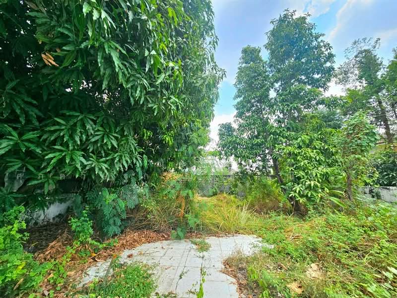 ที่ดินเปล่า 42.2 ตร.ว. ที่ดิน ใกล้เซ็นทรัลอีสต์วิลล์ ซอยโชคชัย4 ซอย54 ถนนนาคนิวาศ, กรุงเทพ, ถนนโชคชัย4, ลาดพร้าว, ลาดพร้าว, กรุงเทพ, 168 ตร.ม., ที่ดิน ขาย, โดย คุณ ณัจภสิญาค์ ศุภควัษฐ์กาญกุล (ณิชชา), 500211090 - DDproperty.com