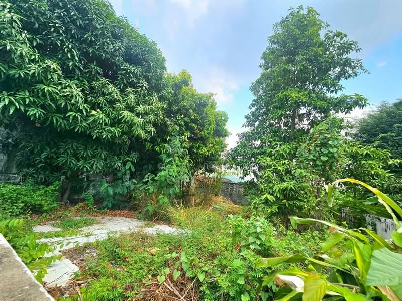 ที่ดินเปล่า 42.2 ตร.ว. ที่ดิน ใกล้เซ็นทรัลอีสต์วิลล์ ซอยโชคชัย4 ซอย54 ถนนนาคนิวาศ, กรุงเทพ, ถนนโชคชัย4, ลาดพร้าว, ลาดพร้าว, กรุงเทพ, 168 ตร.ม., ที่ดิน ขาย, โดย คุณ ณัจภสิญาค์ ศุภควัษฐ์กาญกุล (ณิชชา), 500211090 - DDproperty.com