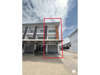 ขาย - 🏢✨ ตึกพาณิชย์ 3 ชั้น หลังมุม ติดถนนใหญ่ สามพราน พื้นที่กว้าง จอดรถได้หลายคัน เพียง 2.99 ล้าน!, นครปฐม