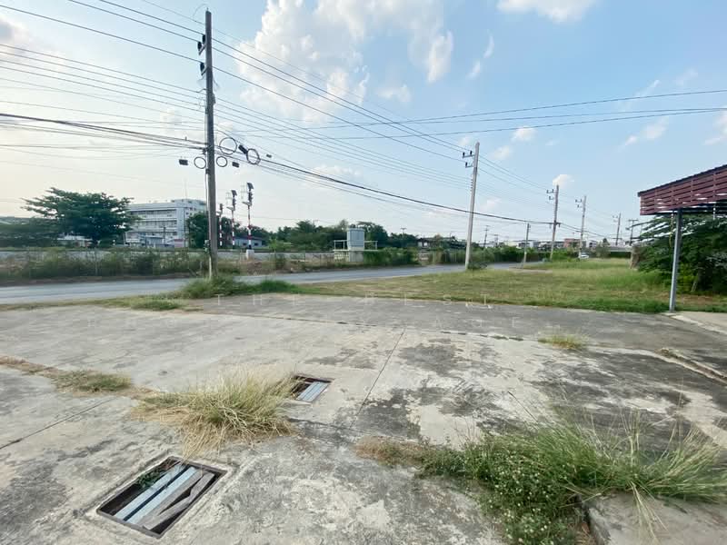 อาคารพาณิชย์โพธาราม ราชบุรี, ราชบุรี, โพธาราม, โพธาราม, ราชบุรี, 150 ตร.ม., ตึกแถว-อาคารพาณิชย์ ขาย, โดย The Best Property Agent แท่ง, 500211111 - DDproperty.com