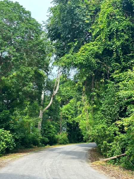 For Sale - บ้านระยอง ใกล้หาดแหลมแม่พิมพ์, Rayong