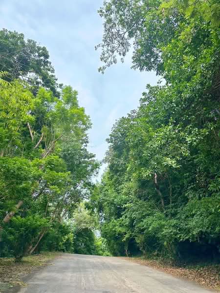 ขาย - บ้านระยอง ใกล้หาดแหลมแม่พิมพ์, ระยอง